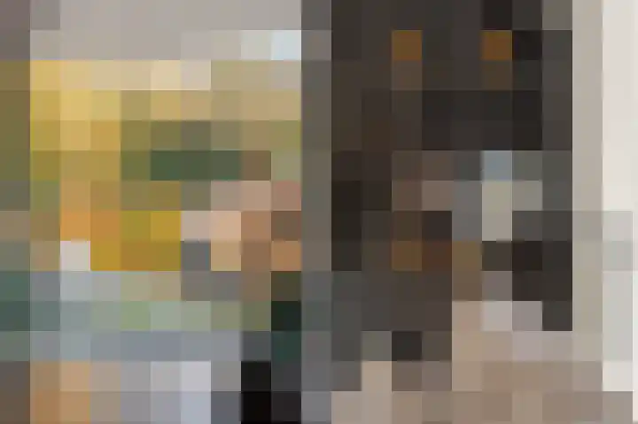 Bonnet 12 Almere thumbnail 35