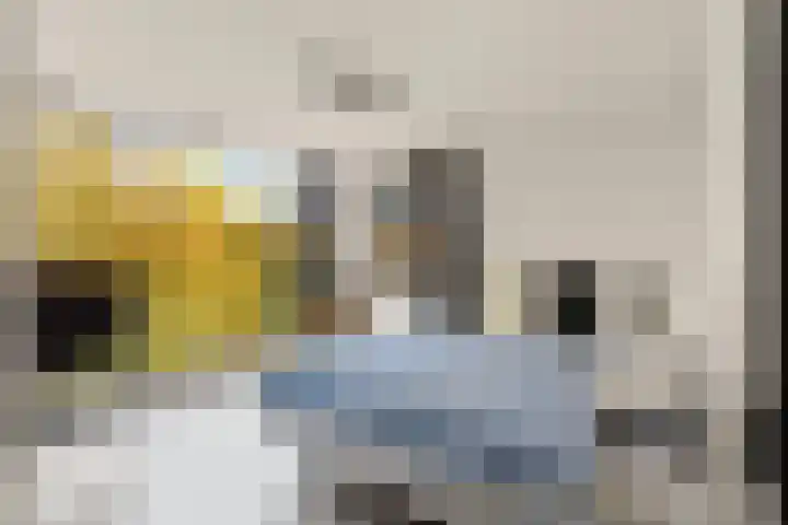 Bonnet 12 Almere thumbnail 38