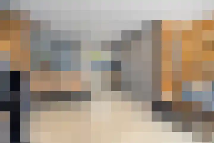 Bonnet 12 Almere thumbnail 44