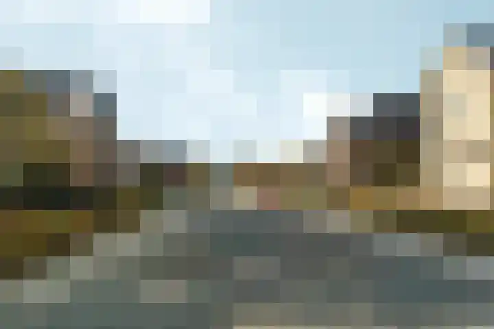 Bonnet 12 Almere thumbnail 5