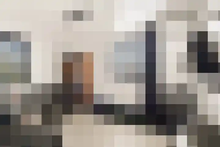 Bonnet 12 Almere thumbnail 50