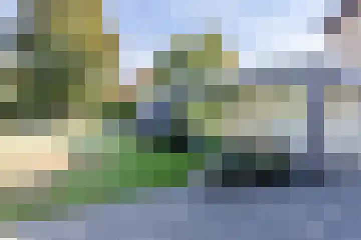 Bonnet 12 Almere thumbnail 52