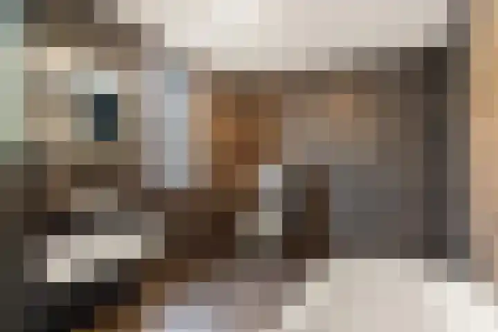 Bonnet 12 Almere thumbnail 55