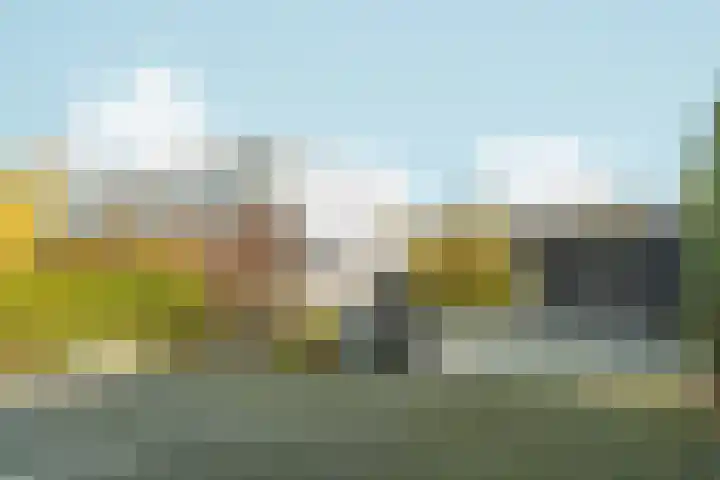 Bonnet 12 Almere thumbnail 6