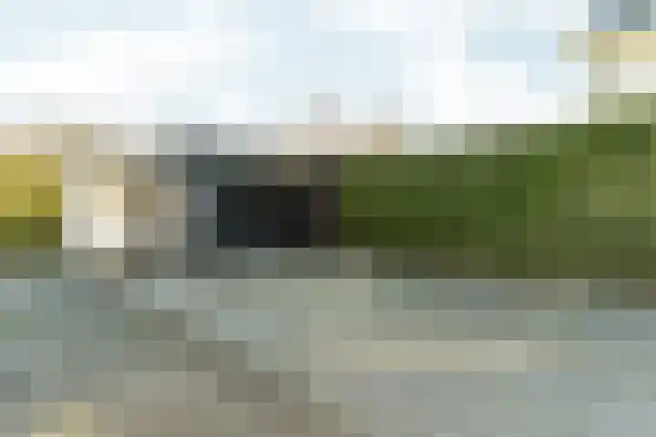 Bonnet 12 Almere thumbnail 61