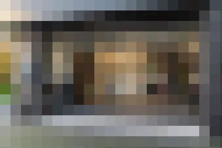 Bonnet 12 Almere thumbnail 62