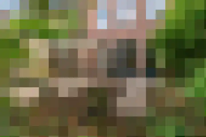 Bonnet 12 Almere thumbnail 65