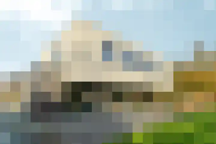Bonnet 12 Almere thumbnail 65