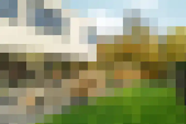 Bonnet 12 Almere thumbnail 66