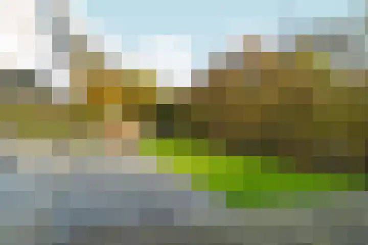 Bonnet 12 Almere thumbnail 67