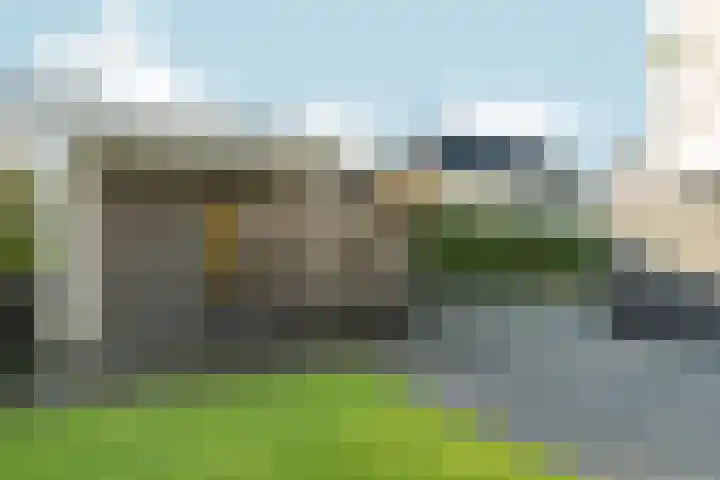 Bonnet 12 Almere thumbnail 69