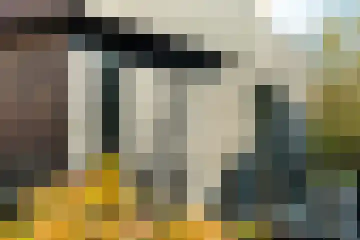 Bonnet 12 Almere thumbnail 7