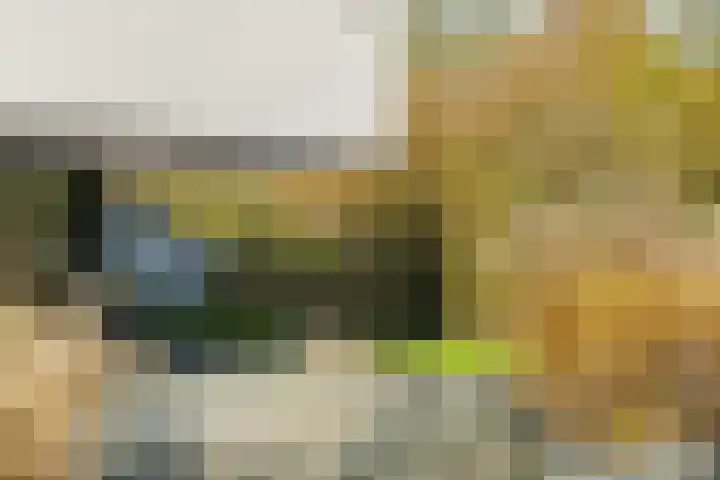 Bonnet 12 Almere thumbnail 70