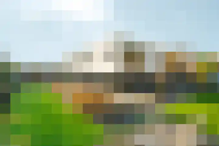 Bonnet 12 Almere thumbnail 71