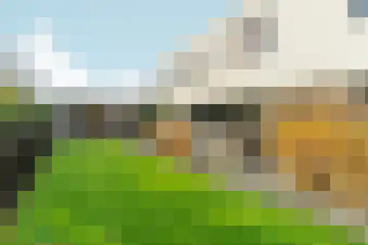 Bonnet 12 Almere thumbnail 72