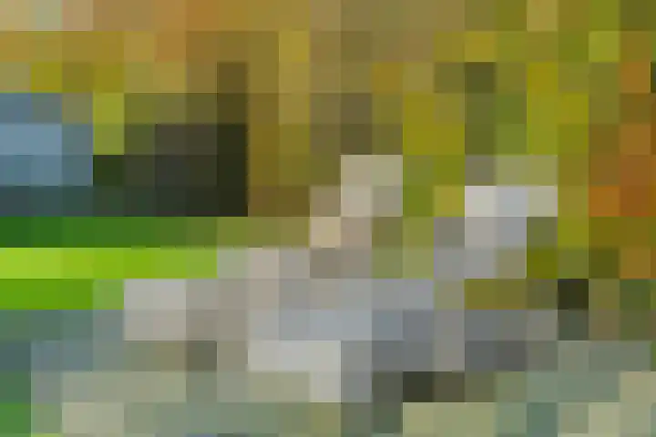 Bonnet 12 Almere thumbnail 73