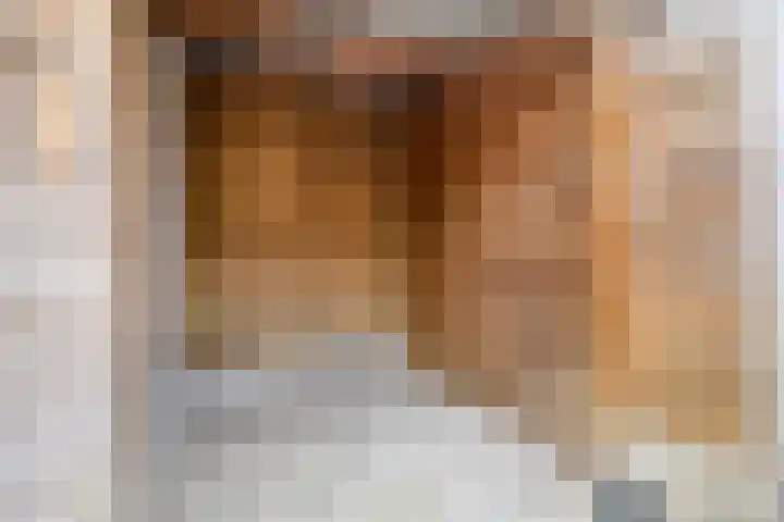 Bonnet 12 Almere thumbnail 75