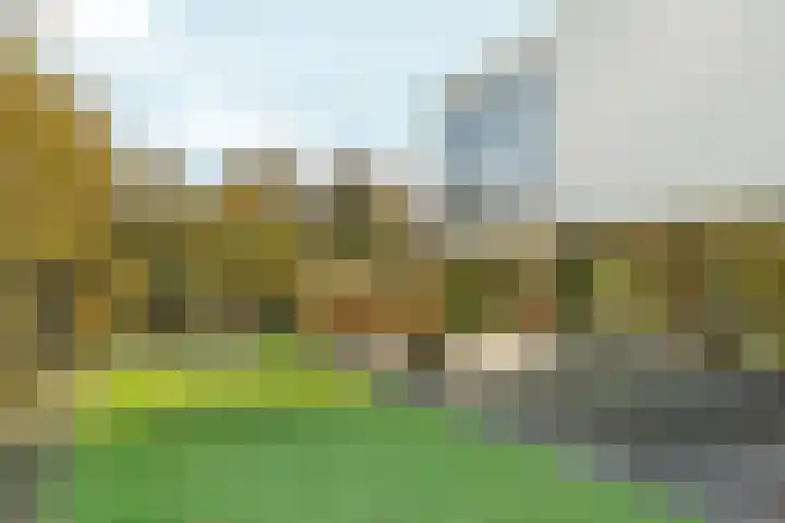 Bonnet 12 Almere thumbnail 75