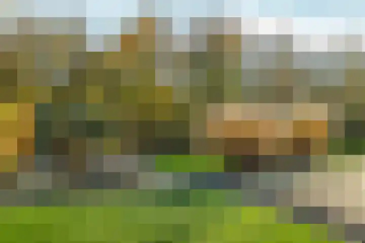 Bonnet 12 Almere thumbnail 76