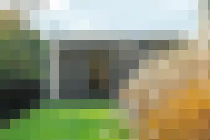 Bonnet 12 Almere thumbnail 78