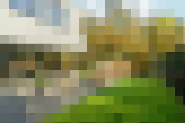 Bonnet 12 Almere thumbnail 79