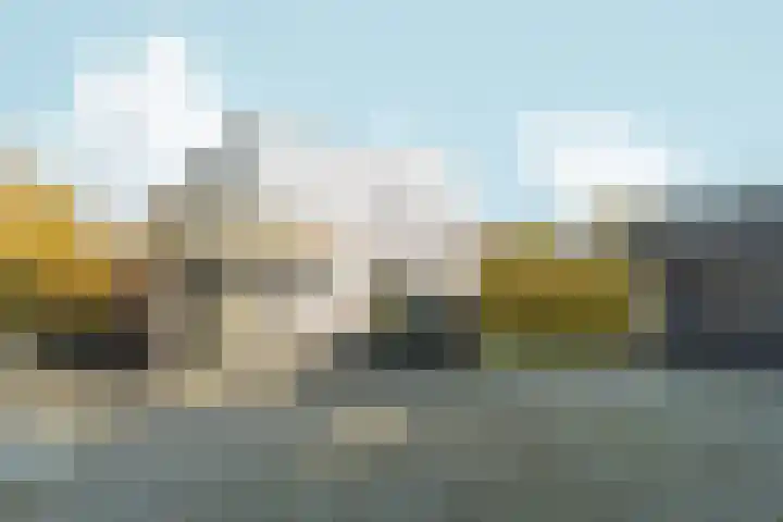 Bonnet 12 Almere thumbnail 8