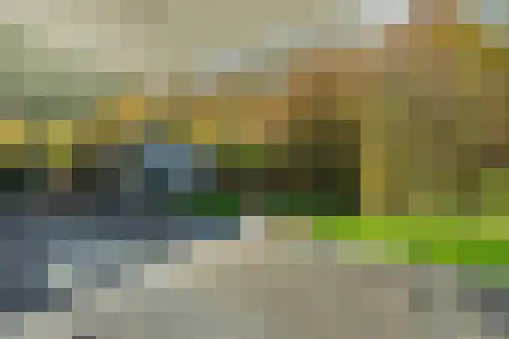 Bonnet 12 Almere thumbnail 81