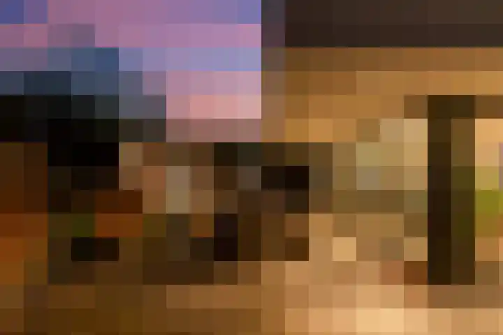 Bonnet 12 Almere thumbnail 84