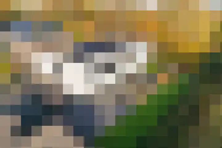 Bonnet 12 Almere thumbnail 87