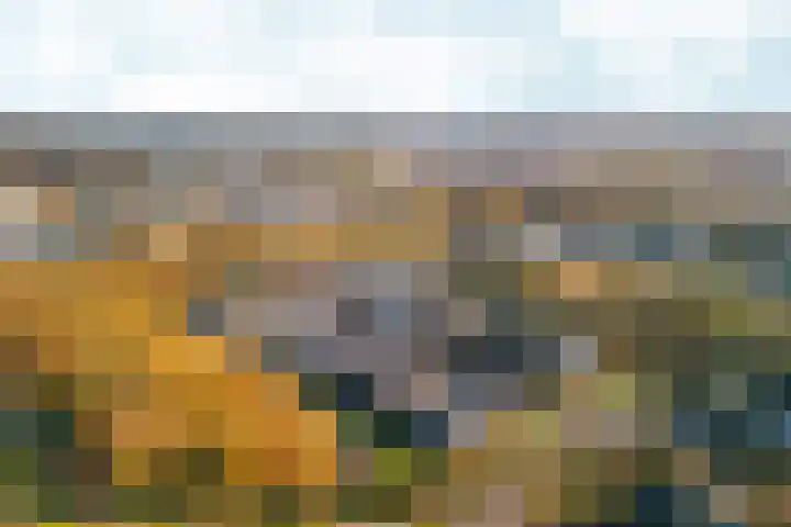 Bonnet 12 Almere thumbnail 88