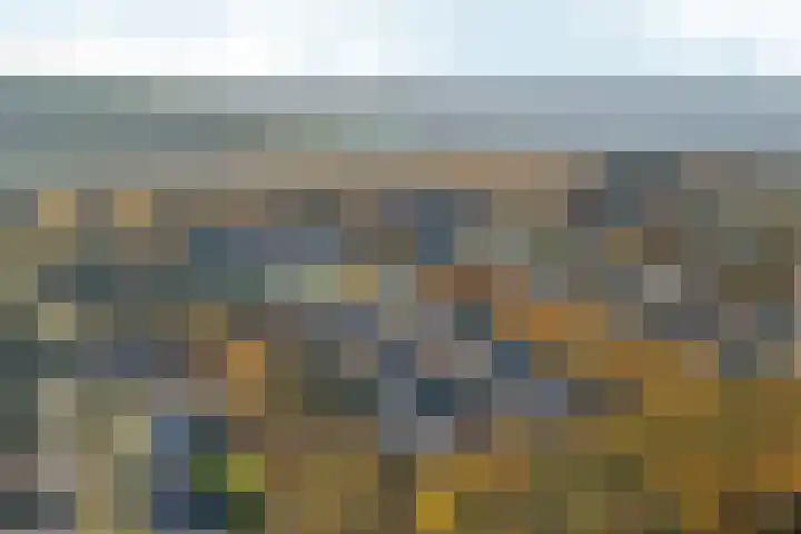 Bonnet 12 Almere thumbnail 89