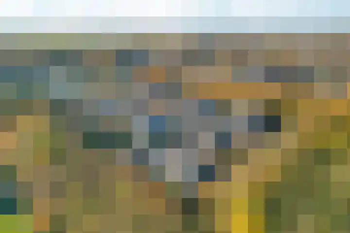 Bonnet 12 Almere thumbnail 90