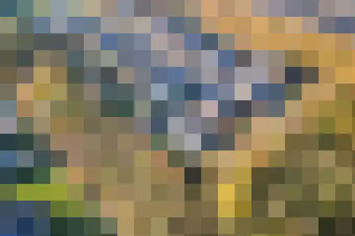 Bonnet 12 Almere thumbnail 91