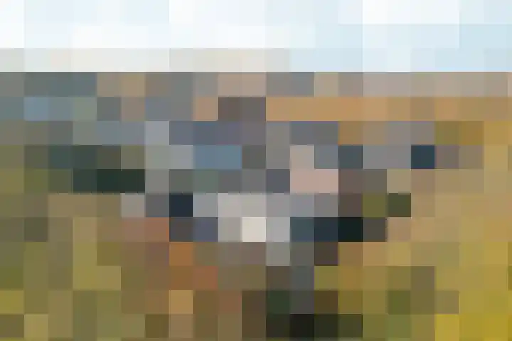 Bonnet 12 Almere thumbnail 92