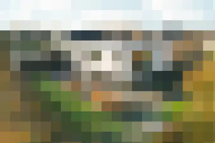 Bonnet 12 Almere thumbnail 93
