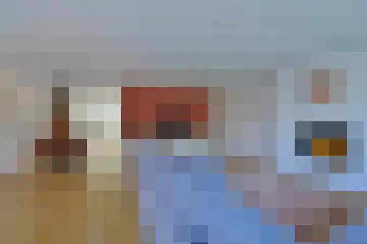 Bonte Specht 12 Zeewolde thumbnail 10