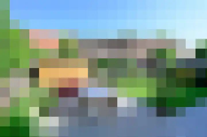 Bonte Specht 12 Zeewolde thumbnail 25