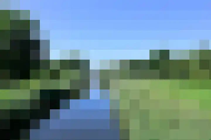 Bonte Specht 12 Zeewolde thumbnail 27