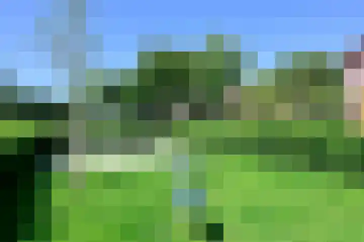 Bonte Specht 12 Zeewolde thumbnail 28
