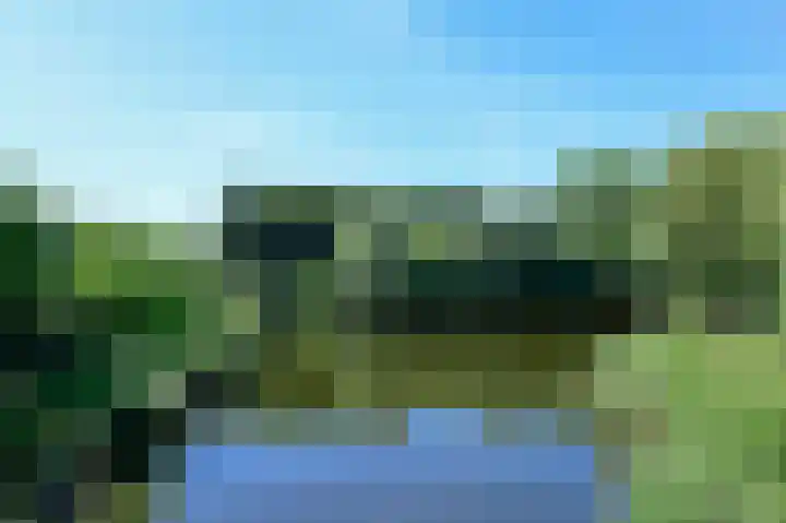 Bonte Specht 12 Zeewolde thumbnail 29