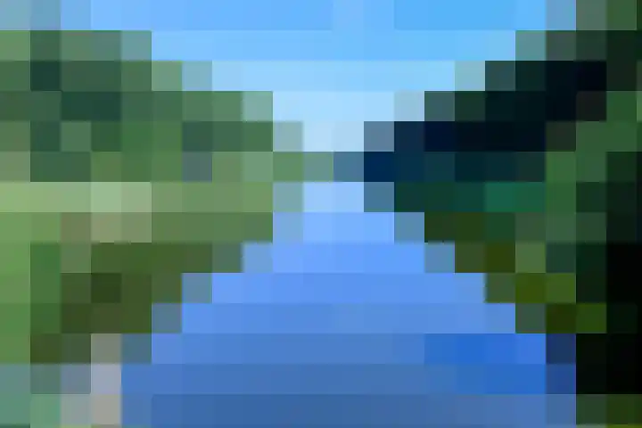 Bonte Specht 12 Zeewolde thumbnail 30
