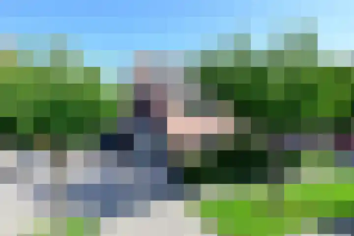 Bonte Specht 12 Zeewolde thumbnail 31