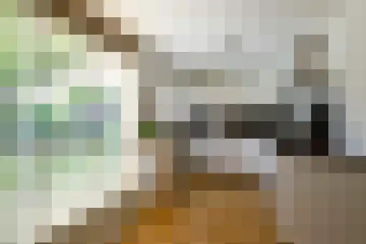 Bonte Specht 12 Zeewolde thumbnail 4