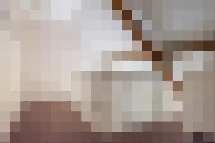 Bontebrug 170 Silvolde thumbnail 23