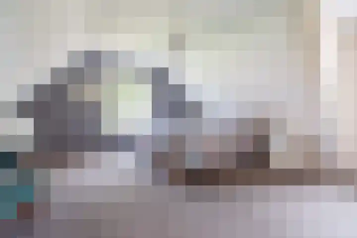 Bontebrug 170 Silvolde thumbnail 25