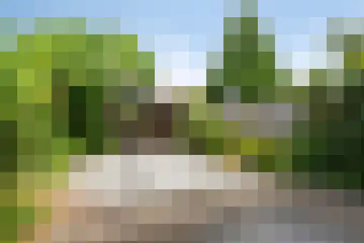 Bontwerkerstraat 19 Breda thumbnail 11