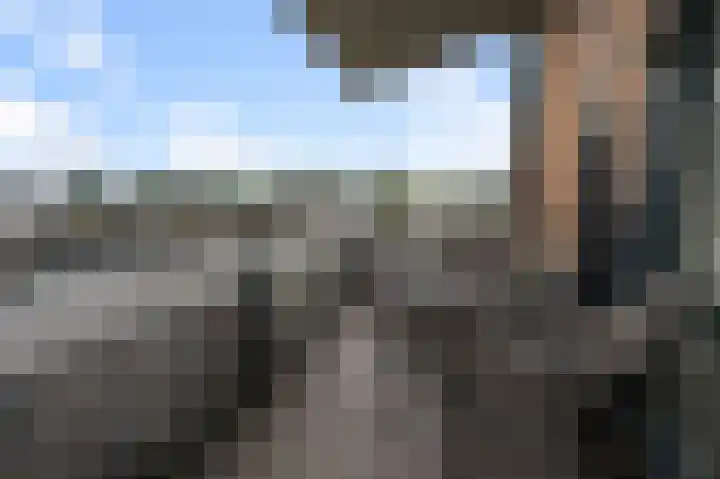 Boog 8 Wormer thumbnail 16