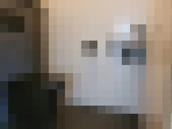 Boog 8 Wormer thumbnail 27