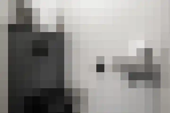 Boog 8 Wormer thumbnail 28