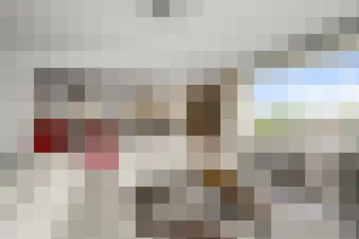 Boog 8 Wormer thumbnail 4